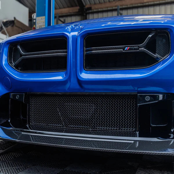 OEM Dry Carbon Fiber Front Grilles for 2023-2024 BMW G87 M2 CSL Front Bumper Grill
